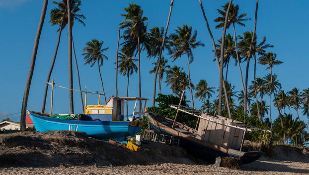 Excursión a Praia do Forte y Guarajuba - Foto 4
