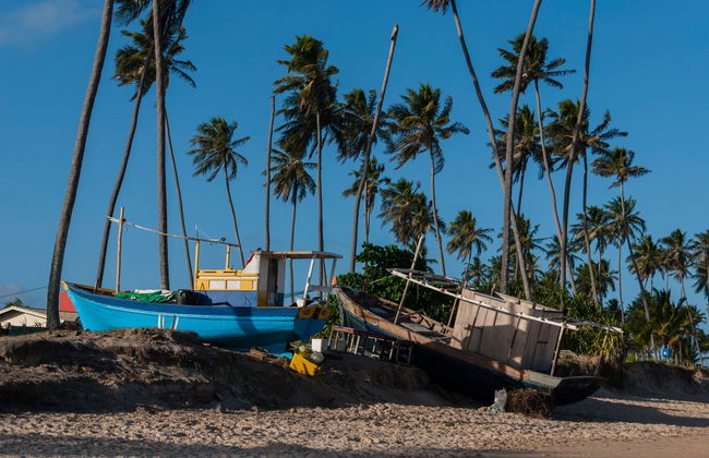 Praia do Forte & Guarajuba Beach Tour - Photo 4