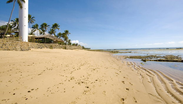 Excursión a Praia do Forte y Guarajuba - Foto 2