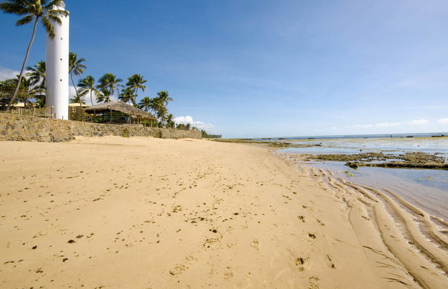 Praia do Forte & Guarajuba Beach Tour - Photo 2