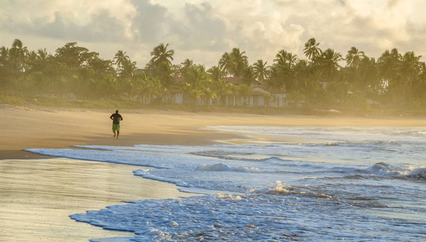 Excursión a Praia do Forte y Guarajuba - Foto 3