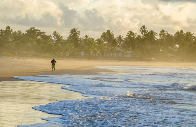 Praia do Forte & Guarajuba Beach Tour - Photo 3