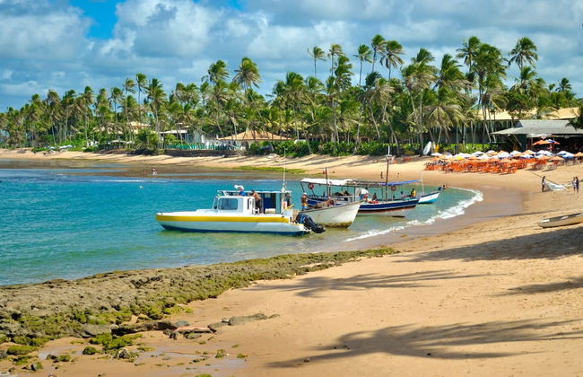 Praia do Forte & Guarajuba Beach Tour - Photo 1