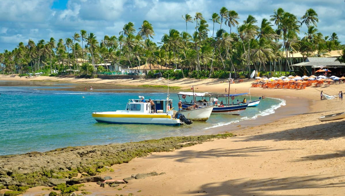 Excursión a Praia do Forte y Guarajuba - Foto 1