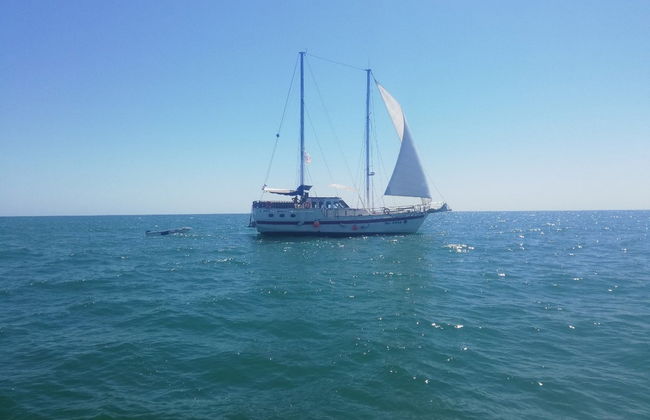 Excursion en voilier sur la mer Noire - Photo 6