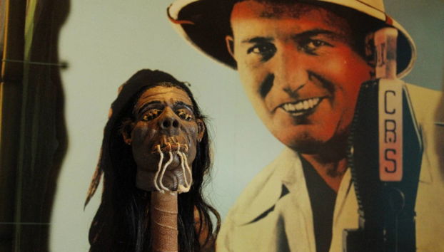 Veracruz Tourist Pack - Foto 4