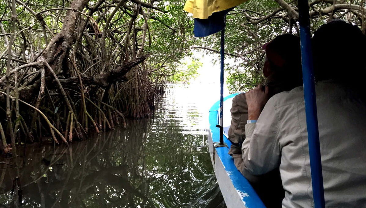 Mandinga Boat Trip - Foto 1