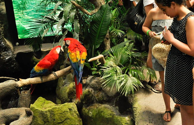 Veracruz Tourist Pack - Foto 1