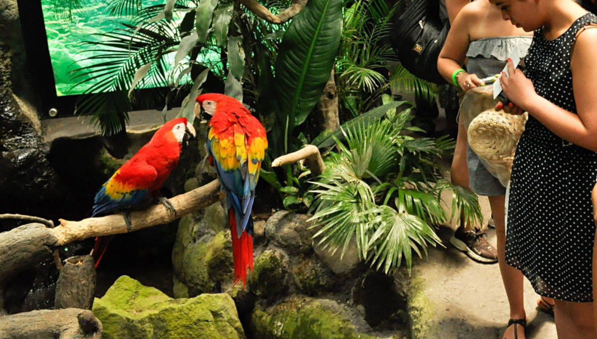 Veracruz Tourist Pack - Foto 1