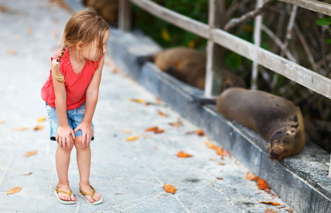 Isabela Island Tour - Foto 2