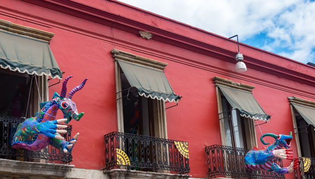 Visita guidata di Oaxaca - Foto 3