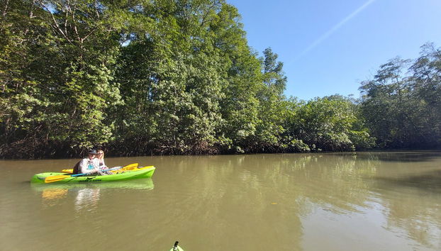 Manuel Antonio Mangroves Tour - Foto 3