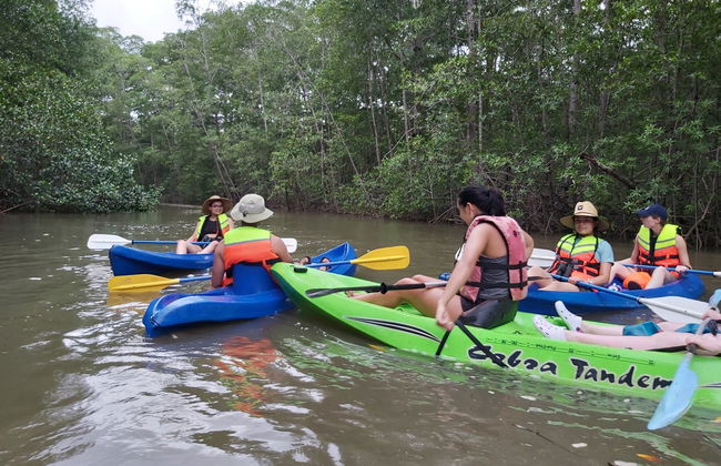 Manuel Antonio Mangroves Tour - Photo 3