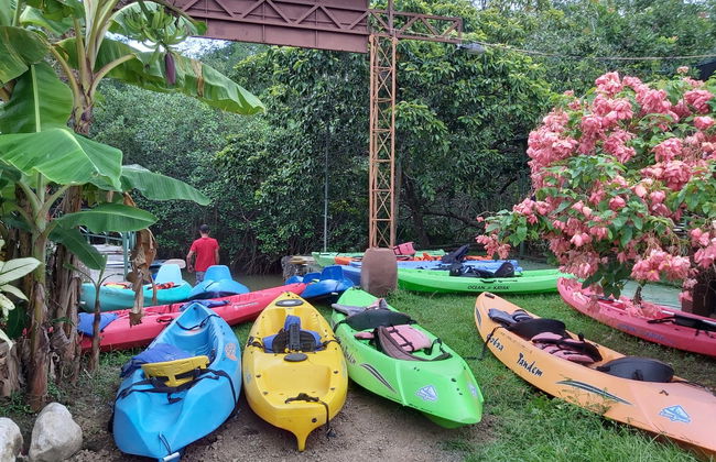 Manuel Antonio Mangroves Tour - Photo 2