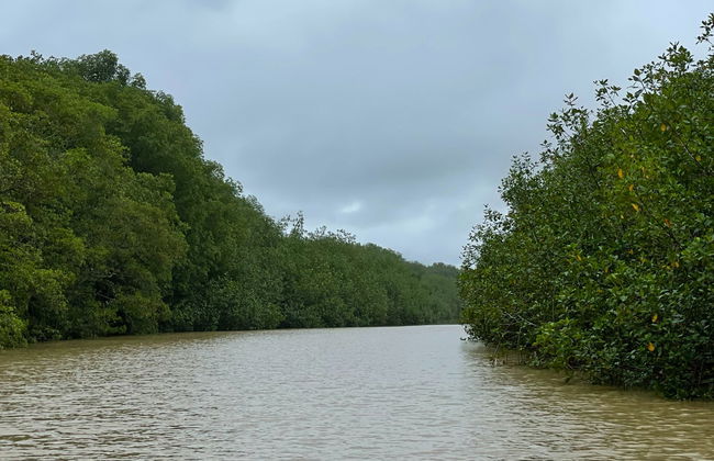 Manuel Antonio Mangroves Tour - Photo 6
