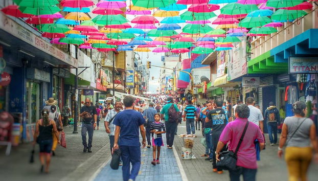 Visita guiada por San José - Foto 2