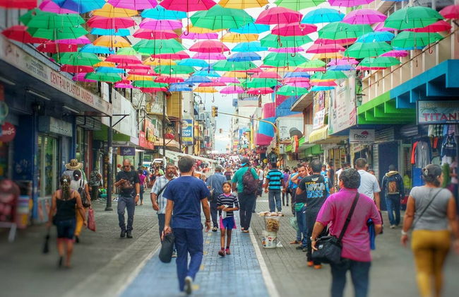 Visita guiada por San José - Foto 2