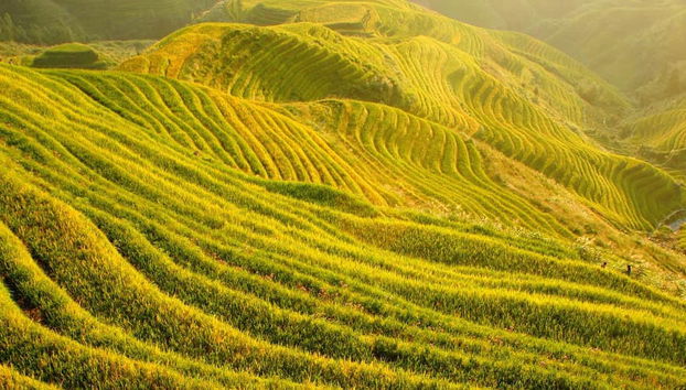 Rice Terraces Private Tour - Photo 5