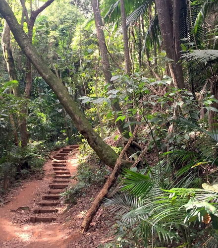 Bild - Jaragua Park Private Hiking Experience
