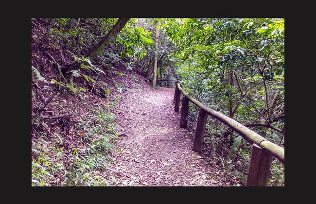 Ruta privada de senderismo por el parque de Jaraguá - Foto 3