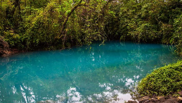 Senderismo por el río Celeste - Foto 5