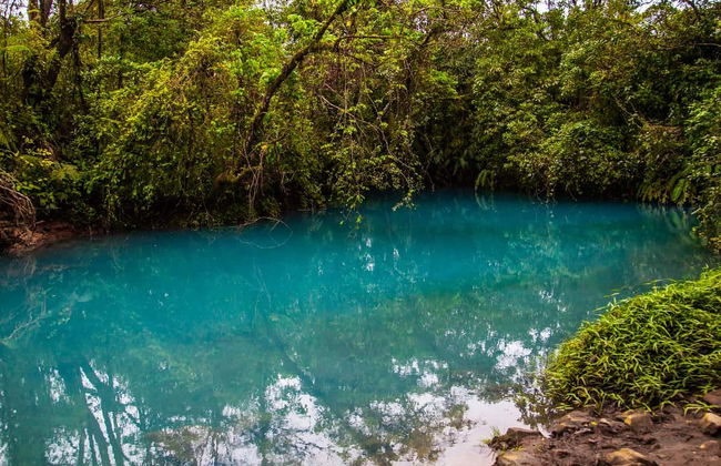 Senderismo por el río Celeste - Foto 5