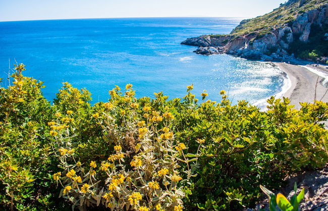 Excursión a la playa Preveli - Foto 5