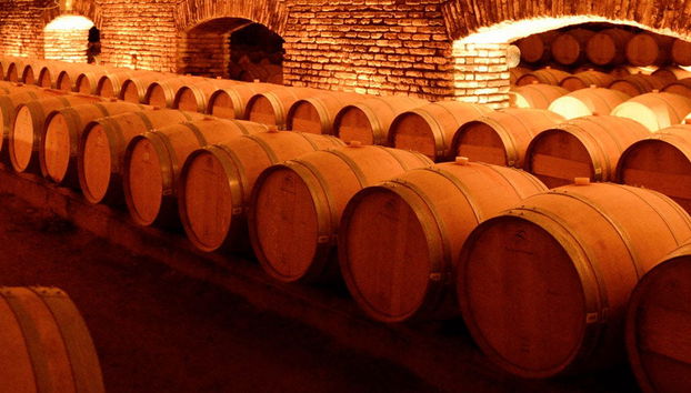 Escursione a Viña Concha y Toro - Foto 5