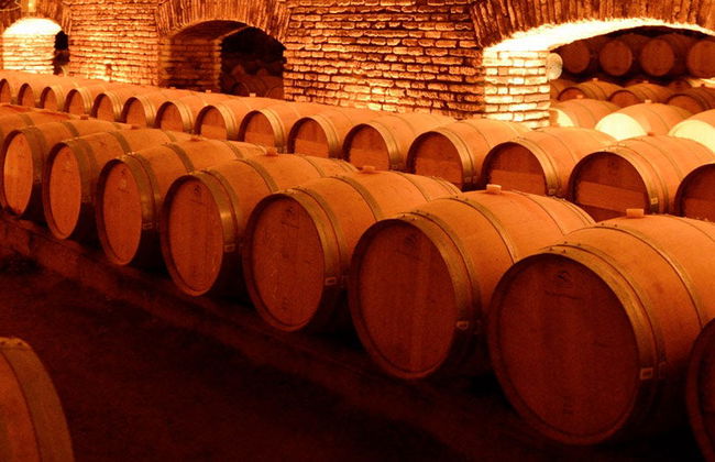 Excursão à Vinícola Concha y Toro - Foto 5
