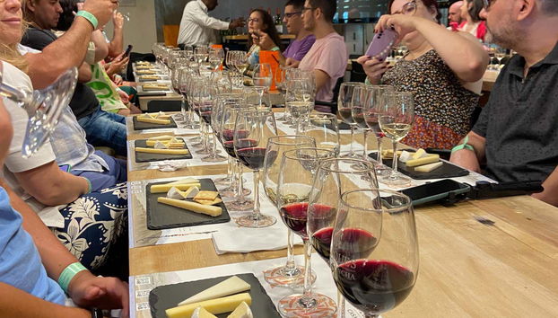 Escursione a Viña Concha y Toro - Foto 4