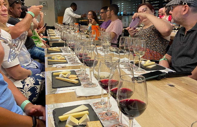 Excursão à Vinícola Concha y Toro - Foto 4