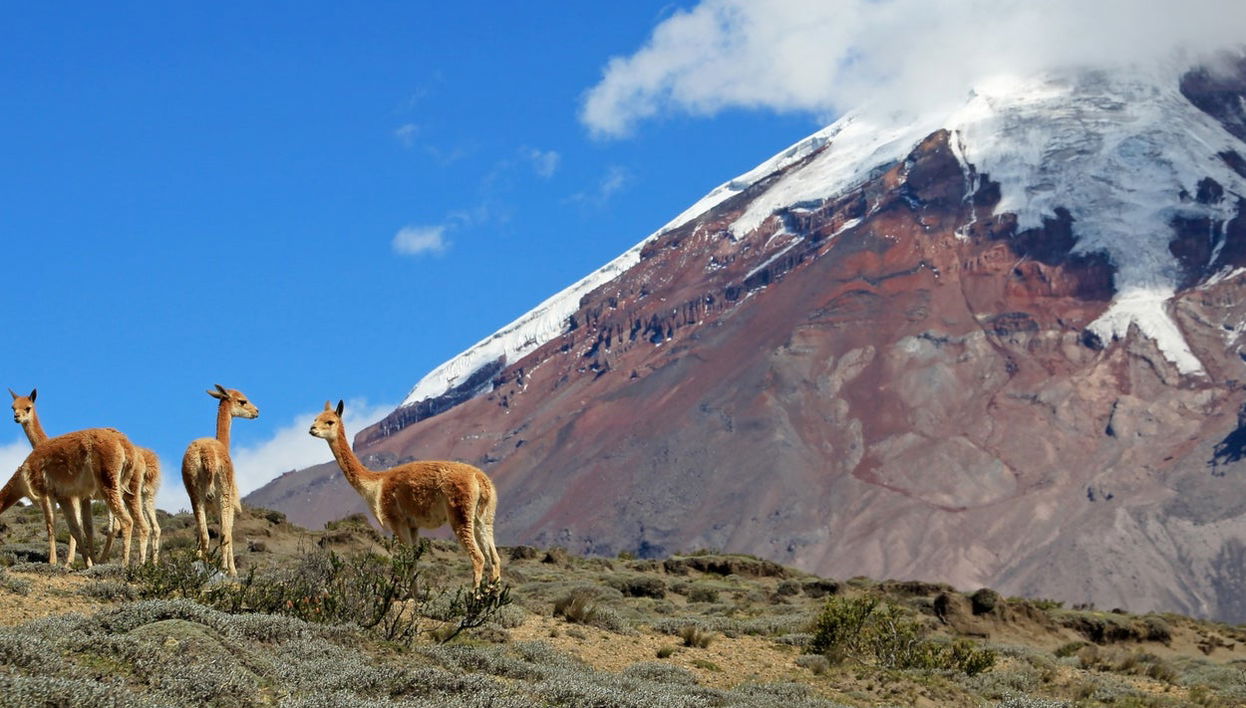 Excursión al volcán Chimborazo + Iglesia de Balbanera - Foto 1