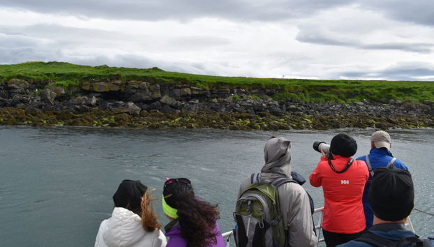 Avvistamento di pulcinelle di mare a Reykjavík - Foto 3