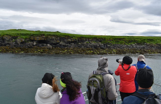 Puffin Watching in Reykjavik - Photo 3