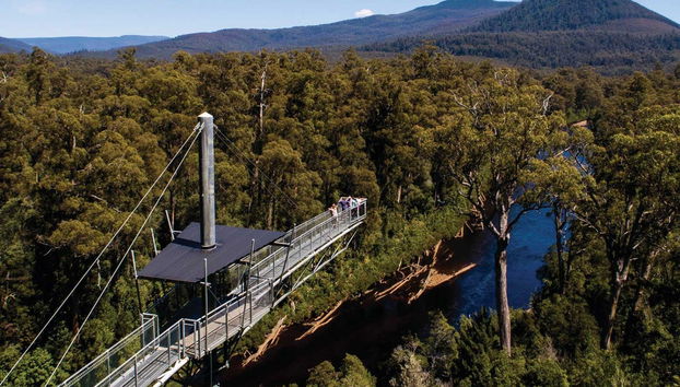 Excursion dans la vallée de Huon et aux grottes d'Hastings - Photo 3