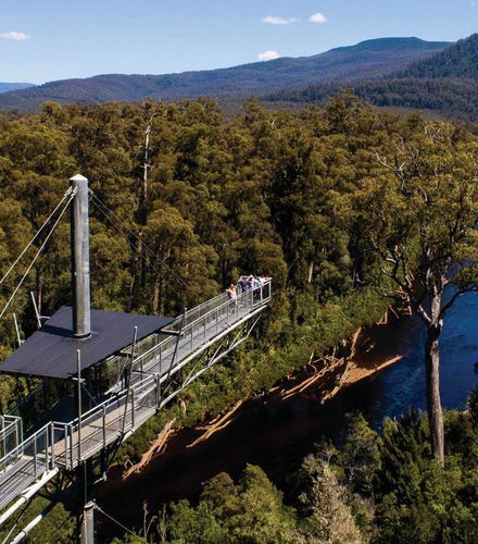 Foto de Excursión al valle de Huon y cuevas Hastings