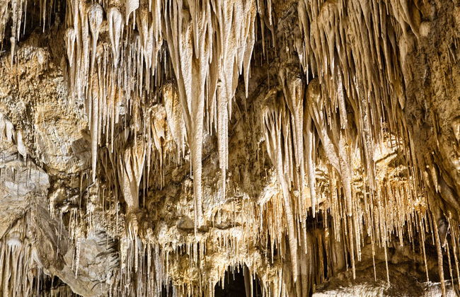 Huon Valley and Hastings Caves Day Trip - Photo 6