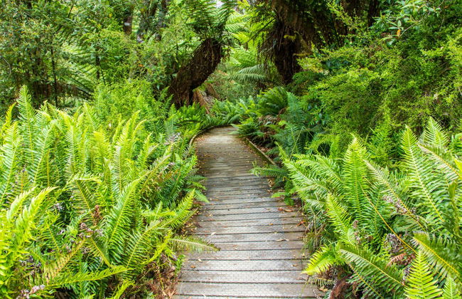 Huon Valley and Hastings Caves Day Trip - Photo 4