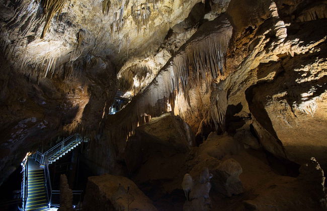 Huon Valley and Hastings Caves Day Trip - Photo 1