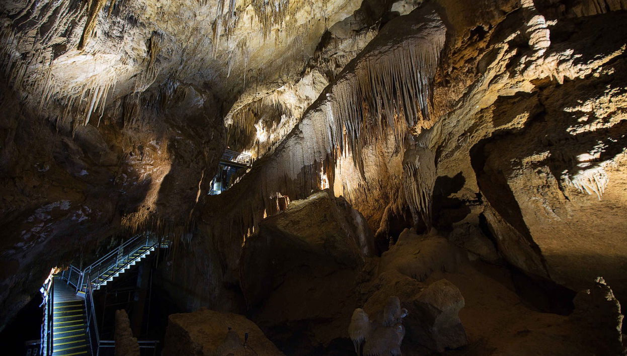 Excursion dans la vallée de Huon et aux grottes d'Hastings - Photo 1