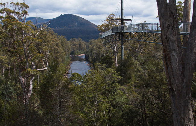 Huon Valley and Hastings Caves Day Trip - Photo 7