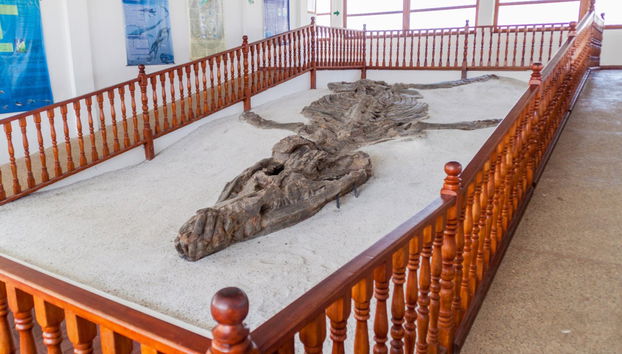 Visite guidée de Villa de Leyva - Photo 4