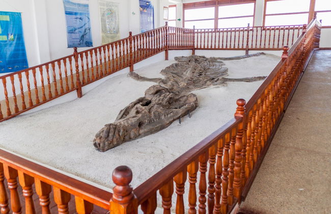 Visite guidée de Villa de Leyva - Photo 4