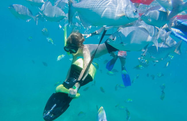 Activités aquatiques dans la Baie de Banderas - Photo 3