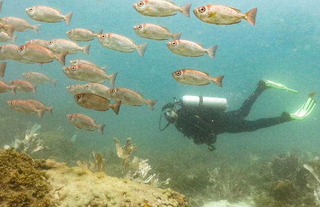 Bautismo de buceo en Arraial do Cabo - Foto 7