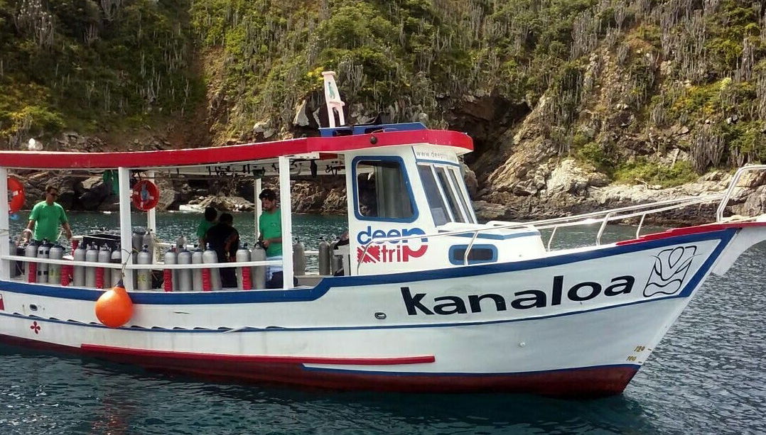 Baptême de plongée à Arraial do Cabo - Photo 1