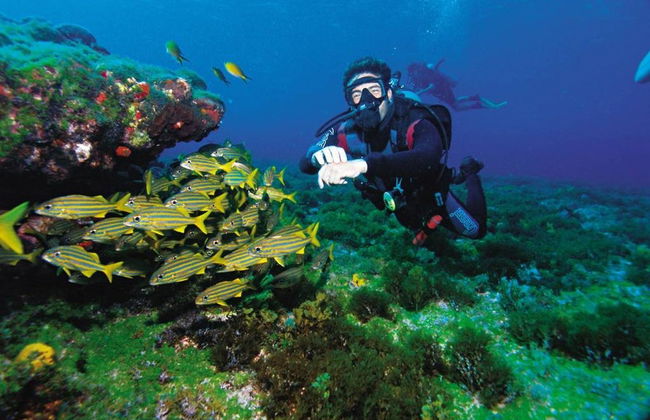 Bautismo de buceo en Arraial do Cabo - Foto 2