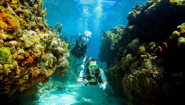 Baptême de plongée à Arraial do Cabo - Photo 3