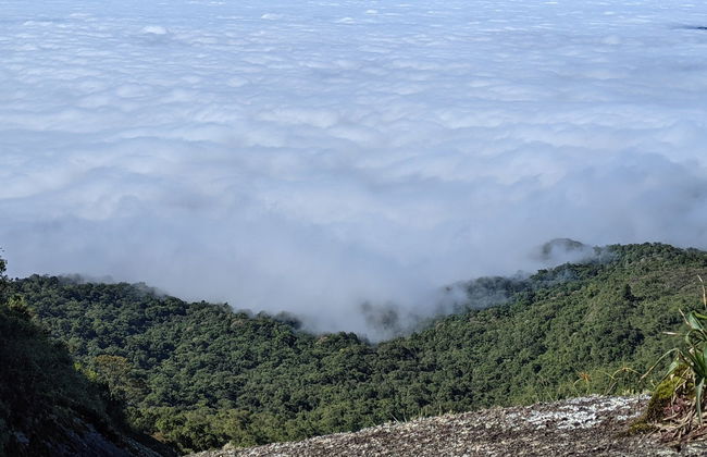 Trilha pela Pedra Redonda com piquenique - Foto 4