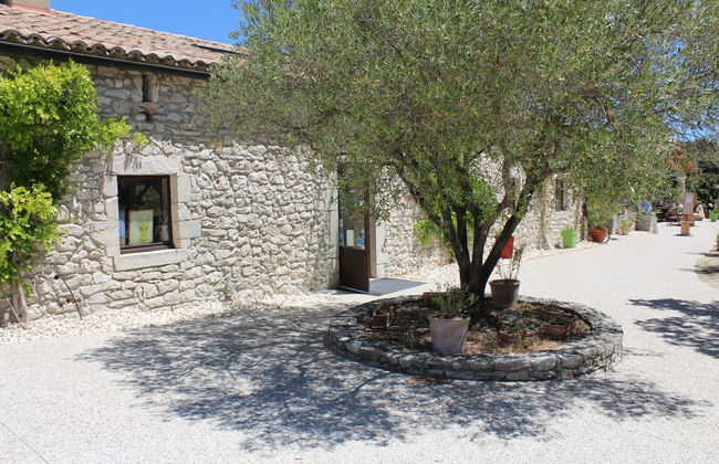 Visita alla Maison de la Lavande - Foto 5